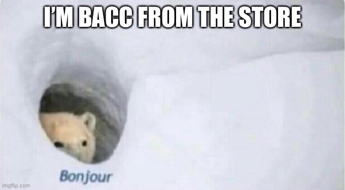 Bonjour Bear | I’M BACC FROM THE STORE | image tagged in bonjour bear | made w/ Imgflip meme maker