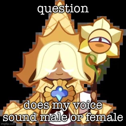 purevanilla | question; does my voice sound male or female | image tagged in purevanilla | made w/ Imgflip meme maker