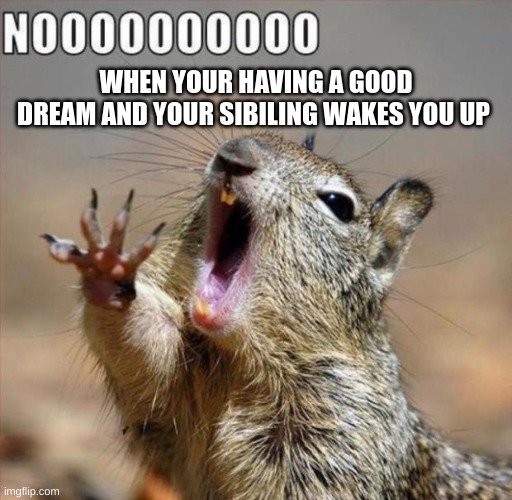 noooooooooooooooooooooooo |  WHEN YOUR HAVING A GOOD DREAM AND YOUR SIBILING WAKES YOU UP | image tagged in noooooooooooooooooooooooo | made w/ Imgflip meme maker