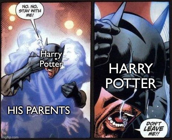 Harry Potter in the mirror: | Harry Potter; HARRY POTTER; HIS PARENTS | image tagged in batman don't leave me | made w/ Imgflip meme maker