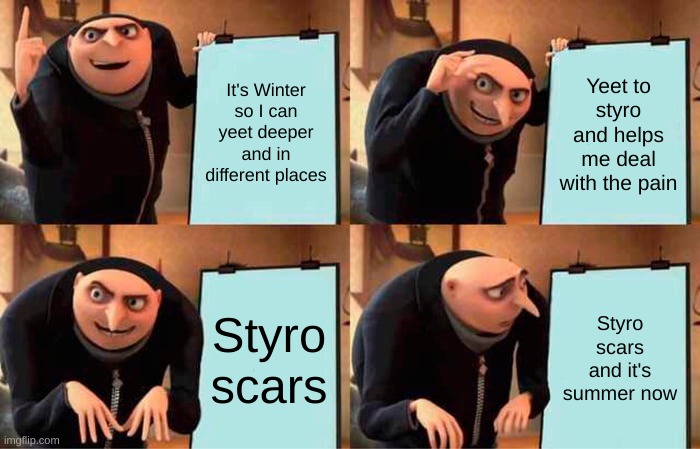 Gru's Plan Meme | It's Winter so I can yeet deeper and in different places; Yeet to styro and helps me deal with the pain; Styro scars; Styro scars and it's summer now | image tagged in memes,gru's plan | made w/ Imgflip meme maker