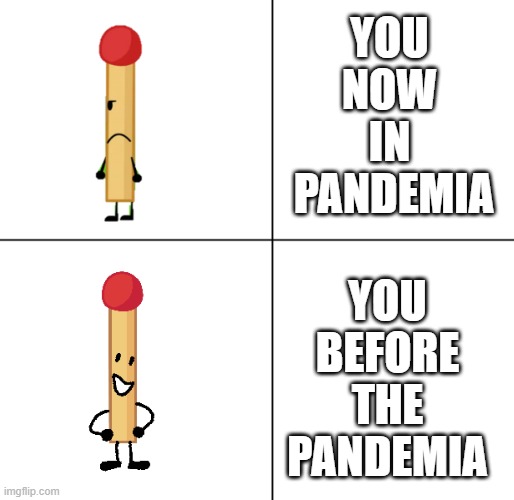 Match Approves | YOU
 NOW 
 IN 
 PANDEMIA; YOU
BEFORE
THE
PANDEMIA | image tagged in match approves | made w/ Imgflip meme maker