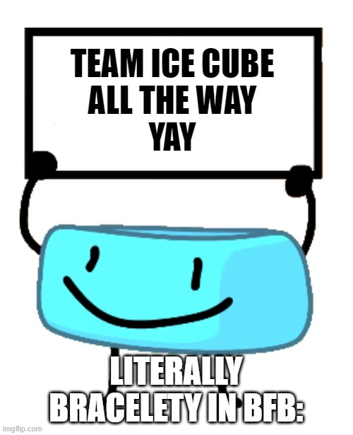 TIC | TEAM ICE CUBE
ALL THE WAY
YAY; LITERALLY BRACELETY IN BFB: | image tagged in bracelety sign | made w/ Imgflip meme maker