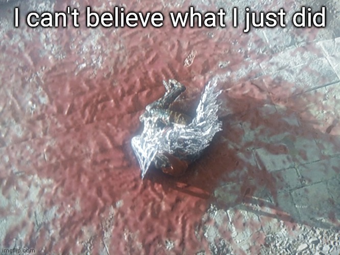 Alexander is dead ;^; | I can't believe what I just did | made w/ Imgflip meme maker