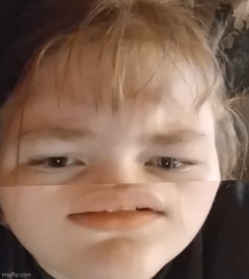 when the | made w/ Imgflip meme maker