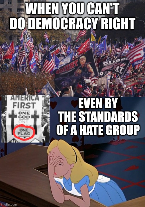 WHEN YOU CAN'T DO DEMOCRACY RIGHT EVEN BY THE STANDARDS OF A HATE GROUP | image tagged in maga rally d c,alice in wonderland face palm facepalm | made w/ Imgflip meme maker