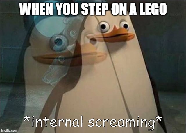 Private Internal Screaming | WHEN YOU STEP ON A LEGO | image tagged in private internal screaming | made w/ Imgflip meme maker