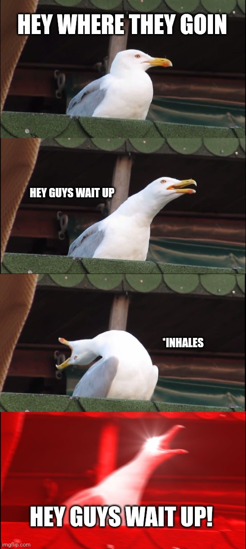 Always happens | HEY WHERE THEY GOIN; HEY GUYS WAIT UP; *INHALES; HEY GUYS WAIT UP! | image tagged in memes,inhaling seagull | made w/ Imgflip meme maker