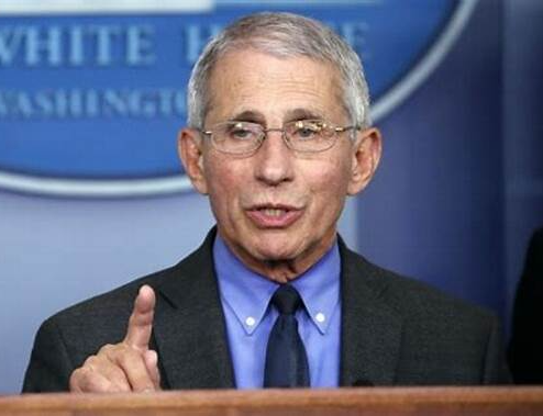 Dr. Fauci Blank Meme Template