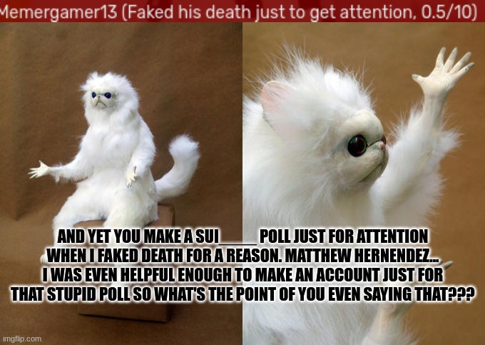I saw this in 4K on Matthew Hernendez's userpage. I'm not even surprised lmao | AND YET YOU MAKE A SUI____ POLL JUST FOR ATTENTION WHEN I FAKED DEATH FOR A REASON. MATTHEW HERNENDEZ... I WAS EVEN HELPFUL ENOUGH TO MAKE AN ACCOUNT JUST FOR THAT STUPID POLL SO WHAT'S THE POINT OF YOU EVEN SAYING THAT??? | image tagged in memes,persian cat room guardian | made w/ Imgflip meme maker