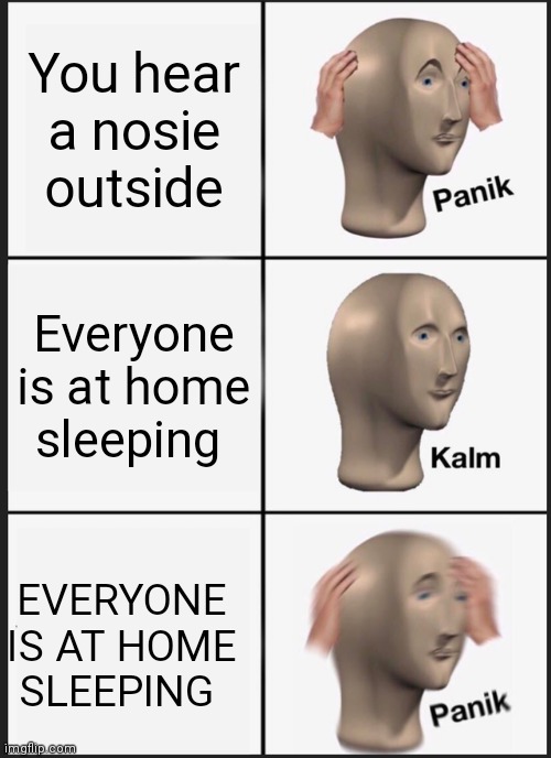 Nosey noise | You hear a nosie outside; Everyone is at home sleeping; EVERYONE IS AT HOME SLEEPING | image tagged in memes,panik kalm panik | made w/ Imgflip meme maker