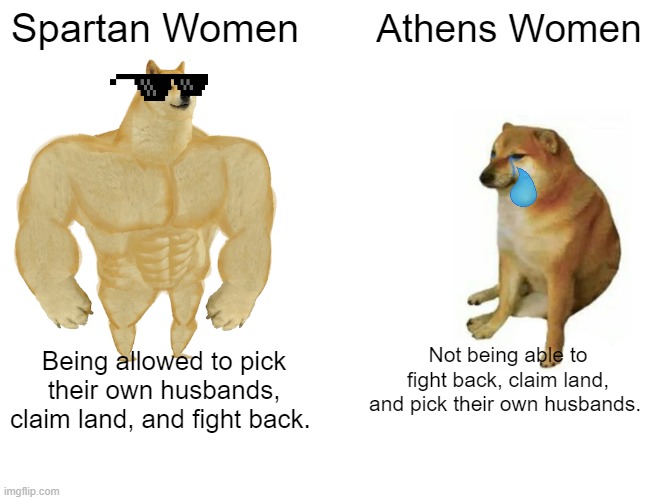Buff Doge vs. Cheems | Spartan Women; Athens Women; Not being able to fight back, claim land, and pick their own husbands. Being allowed to pick their own husbands, claim land, and fight back. | image tagged in memes,buff doge vs cheems,athens be like,spartans be like | made w/ Imgflip meme maker