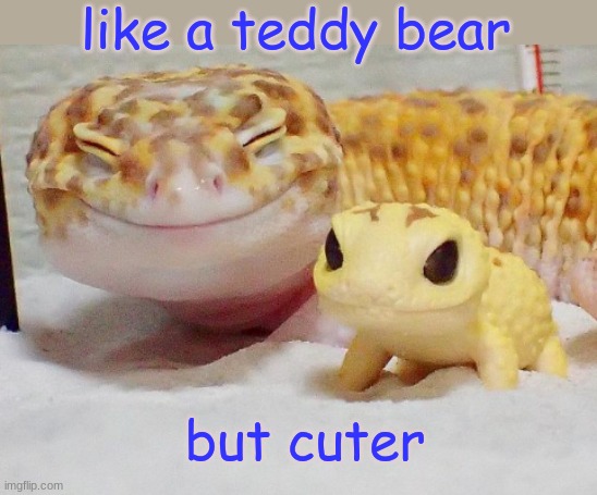 Gecko's toy |  like a teddy bear; but cuter | image tagged in gecko's baby,cute,gecko,teddy bear | made w/ Imgflip meme maker