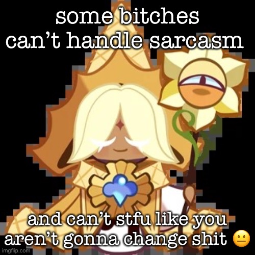purevanilla | some bitches can’t handle sarcasm; and can’t stfu like you aren’t gonna change shit 😐 | image tagged in purevanilla | made w/ Imgflip meme maker