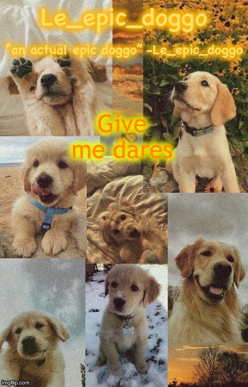 Doggo temp by doggo. Wait what that’s confusing | Give me dares | image tagged in doggo temp by doggo wait what that s confusing | made w/ Imgflip meme maker
