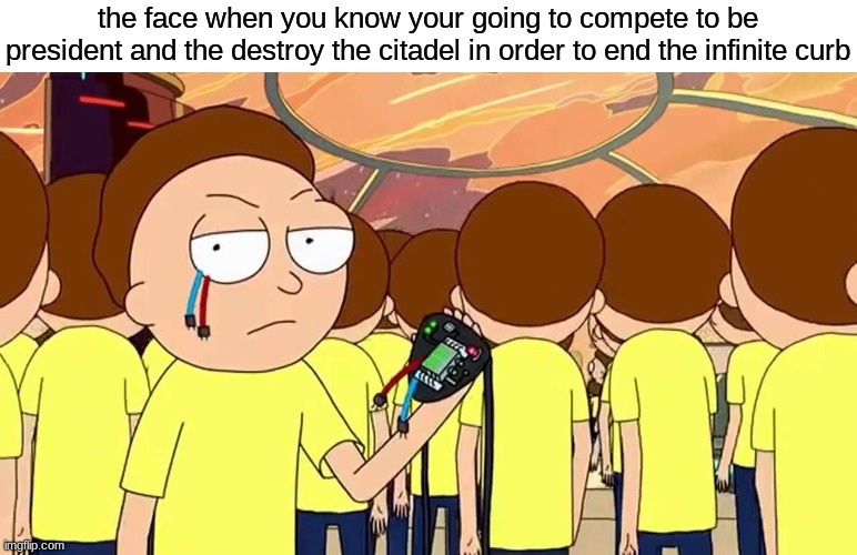 the plot thickens.. | the face when you know your going to compete to be president and the destroy the citadel in order to end the infinite curb | image tagged in evil morty,rick and morty,memes | made w/ Imgflip meme maker