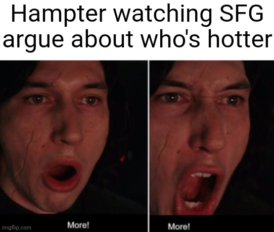 We are making Hampter stranger by arguing, P L A N T must stay in power!!! | Hampter watching SFG argue about who's hotter | image tagged in more more,credit to tako chan | made w/ Imgflip meme maker