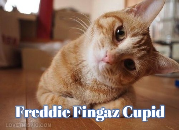 Curious Question Cat | Freddie Fingaz Cupid | image tagged in curious question cat,freddie fingaz,freddie fingaz cupid,slavic | made w/ Imgflip meme maker