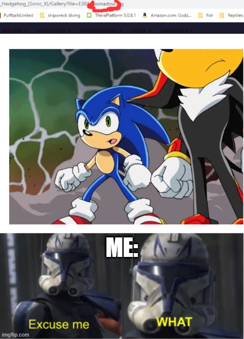 Wait, WHAT | ME: | image tagged in excuse me what,sonic the hedgehog,shadow the hedgehog,sonadow,sonic x | made w/ Imgflip meme maker