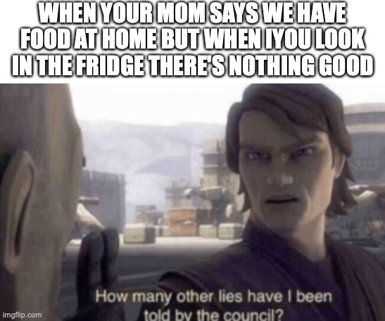 its not food if its not good | WHEN YOUR MOM SAYS WE HAVE FOOD AT HOME BUT WHEN IYOU LOOK IN THE FRIDGE THERE'S NOTHING GOOD | image tagged in how many other lies have i been told by the council,funny,memes,fun,food | made w/ Imgflip meme maker