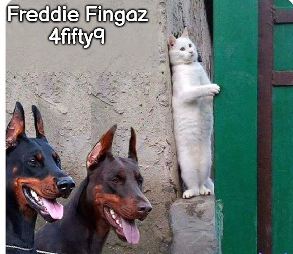 Hidden cat |  Freddie Fingaz
 4fifty9 | image tagged in hidden cat,freddie fingaz,freddie fingaz 4fifty9,slavic | made w/ Imgflip meme maker