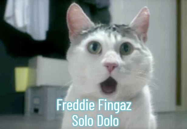 OMG Cat Meme | Freddie Fingaz 
Solo Dolo | image tagged in memes,omg cat,freddie fingaz,freddie fingaz solo dolo,slavs | made w/ Imgflip meme maker