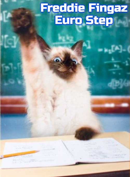 Overeager Student Cat | Freddie Fingaz
 Euro Step | image tagged in overeager student cat,freddie fingaz,freddie fingaz euro step,slavic | made w/ Imgflip meme maker
