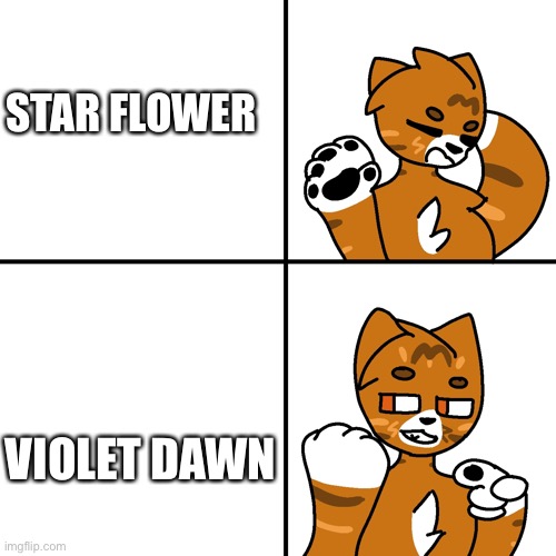 Lmao this is thunder in a nutshell | STAR FLOWER; VIOLET DAWN | image tagged in thunder drake meme | made w/ Imgflip meme maker