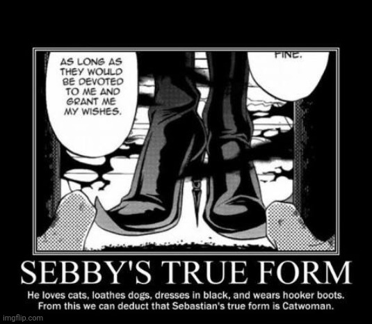 sebastian = catwoman confirmed?1?!?!?11 | made w/ Imgflip meme maker