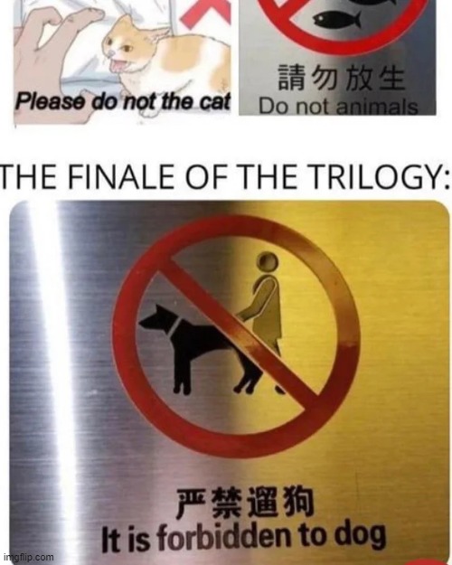 made w/ Imgflip meme maker