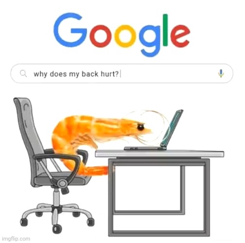My back hurts.. | image tagged in funny memes,google,google search,shrimp | made w/ Imgflip meme maker