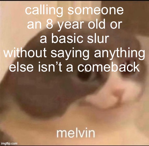 Like unless they actually act like one | calling someone an 8 year old or a basic slur without saying anything else isn’t a comeback | image tagged in melvin | made w/ Imgflip meme maker