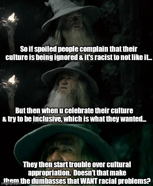 Spoiled troublemakers. | So if spoiled people complain that their culture is being ignored & it's racist to not like it... But then when u celebrate their culture & try to be inclusive, which is what they wanted... They then start trouble over cultural appropriation.  Doesn't that make them the dumbasses that WANT racial problems? | image tagged in memes,confused gandalf | made w/ Imgflip meme maker