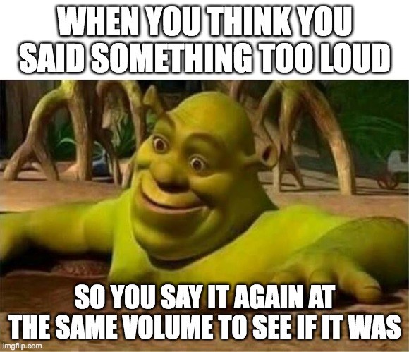 *sigh* | WHEN YOU THINK YOU SAID SOMETHING TOO LOUD; SO YOU SAY IT AGAIN AT THE SAME VOLUME TO SEE IF IT WAS | image tagged in shrek,memes,life,relatable,funny memes,dumb | made w/ Imgflip meme maker
