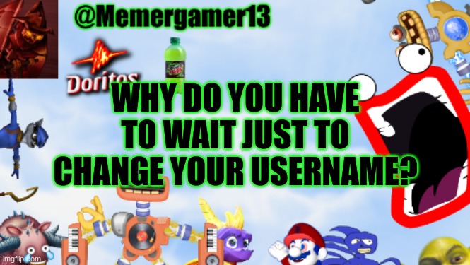 I don't get it | WHY DO YOU HAVE TO WAIT JUST TO CHANGE YOUR USERNAME? | image tagged in memergamer13templete | made w/ Imgflip meme maker