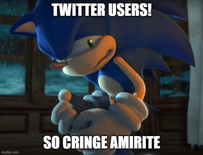 TWITTER USERS! | TWITTER USERS! SO CRINGE AMIRITE | image tagged in sonic scared | made w/ Imgflip meme maker
