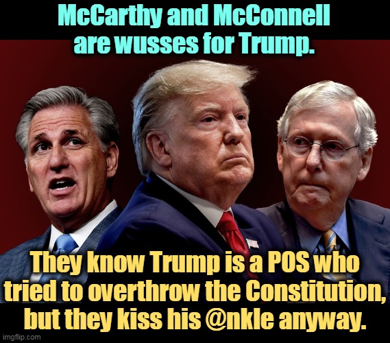 Profiles in Jellyfish. | McCarthy and McConnell are wusses for Trump. They know Trump is a POS who tried to overthrow the Constitution, but they kiss his @nkle anyway. | image tagged in mccarthy trump mcconnell evil bad for america,trump,revolution,weak,jellyfish,cowards | made w/ Imgflip meme maker