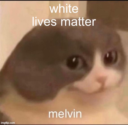 melvin | white lives matter | image tagged in melvin | made w/ Imgflip meme maker