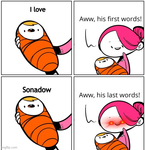 Aww, His Last Words | I love; Sonadow | image tagged in aww his last words | made w/ Imgflip meme maker