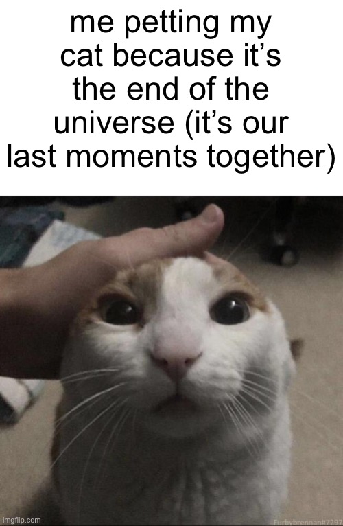 me petting my cat | me petting my cat because it’s the end of the universe (it’s our last moments together) | image tagged in me petting my cat,petting cat | made w/ Imgflip meme maker