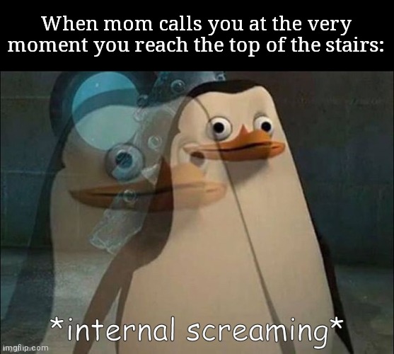 Oof | When mom calls you at the very moment you reach the top of the stairs: | image tagged in private internal screaming,relateable | made w/ Imgflip meme maker