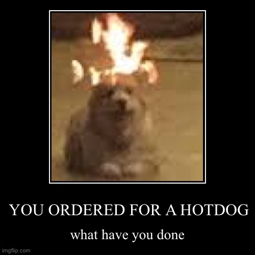 when you order for a hotdog | YOU ORDERED FOR A HOTDOG | what have you done | image tagged in funny,demotivationals,hotdog | made w/ Imgflip demotivational maker