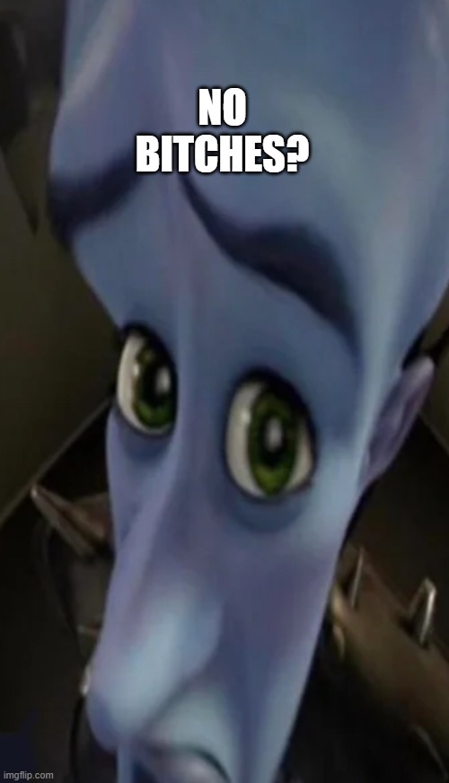 Megamind peeking | NO BITCHES? | image tagged in no bitches | made w/ Imgflip meme maker