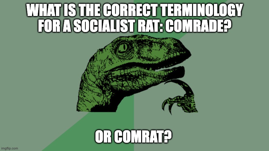 Comrat | WHAT IS THE CORRECT TERMINOLOGY FOR A SOCIALIST RAT: COMRADE? OR COMRAT? | image tagged in philosophy dinosaur | made w/ Imgflip meme maker