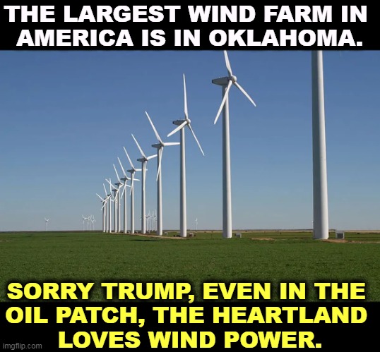 Where the wind comes whistlin' down the plain... | THE LARGEST WIND FARM IN 
AMERICA IS IN OKLAHOMA. SORRY TRUMP, EVEN IN THE 
OIL PATCH, THE HEARTLAND 
LOVES WIND POWER. | image tagged in renewable energy,windmill,wind,power,oklahoma | made w/ Imgflip meme maker