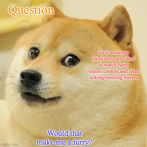 I have a question furries |  Question; So if someone liked furry art, liked to watch furry related content,and liked talking/meeting furries; Would that make me a furry? | image tagged in memes,doge,question,furries | made w/ Imgflip meme maker