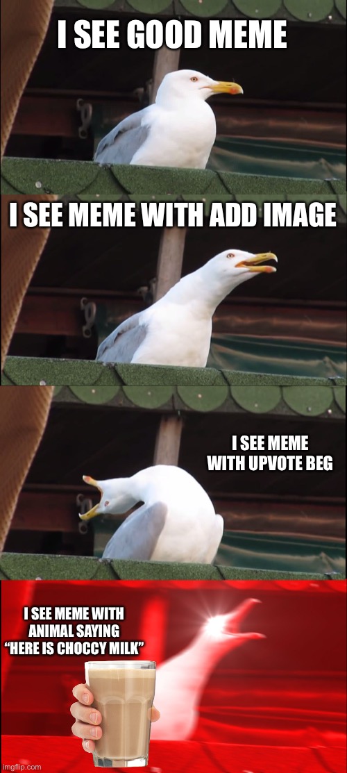But Mr. Seagull did what he hates the most… | I SEE GOOD MEME; I SEE MEME WITH ADD IMAGE; I SEE MEME WITH UPVOTE BEG; I SEE MEME WITH ANIMAL SAYING “HERE IS CHOCCY MILK” | image tagged in memes,inhaling seagull,funny,animals,choccy milk,scream | made w/ Imgflip meme maker