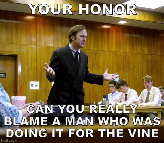 Your Honor | YOUR HONOR; CAN YOU REALLY BLAME A MAN WHO WAS DOING IT FOR THE VINE | image tagged in your honor | made w/ Imgflip meme maker