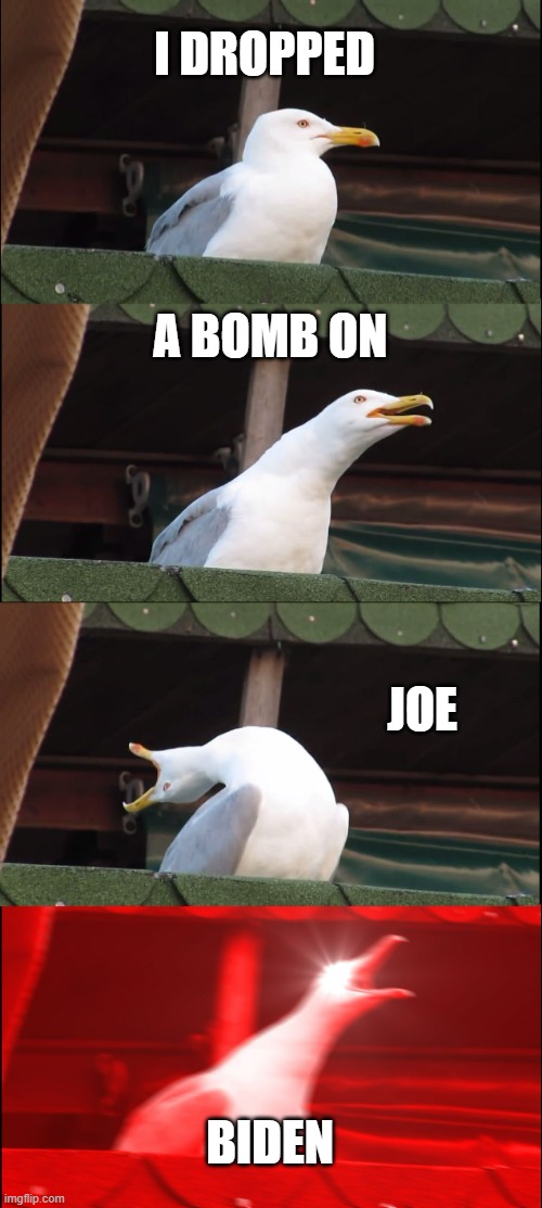 Splat | I DROPPED; A BOMB ON; JOE; BIDEN | image tagged in memes,inhaling seagull | made w/ Imgflip meme maker