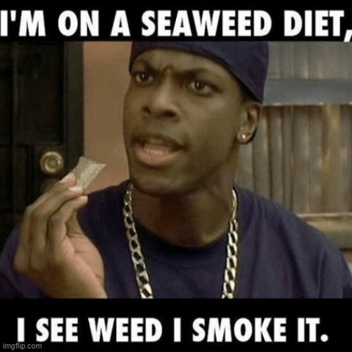 Seaweed diet Craig | image tagged in seaweed diet craig | made w/ Imgflip meme maker